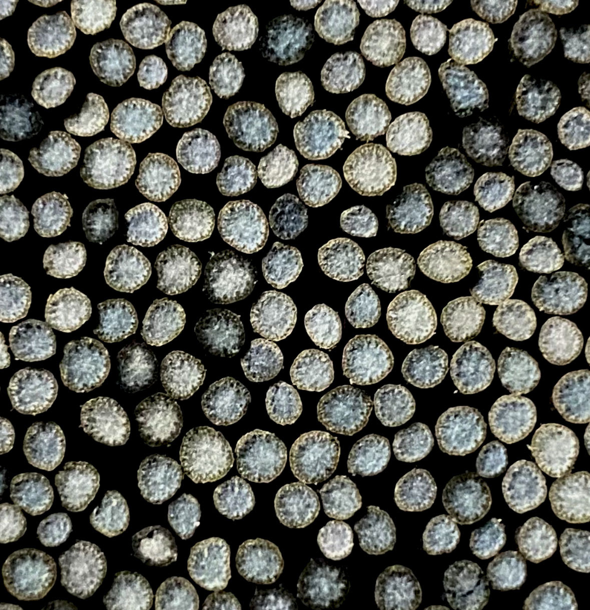 Nature to Material 2